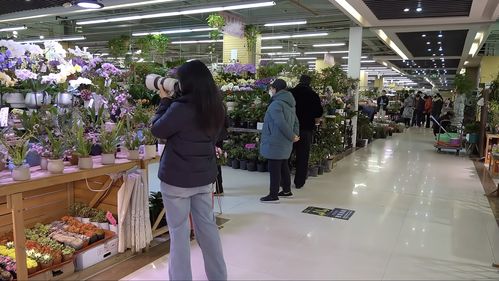 实探即将闭店的花卉市场 市民趁商家甩卖提前购置春节用品